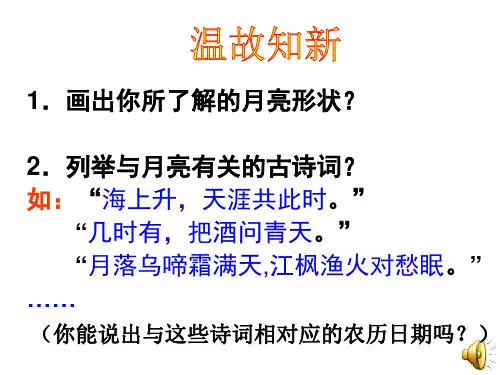 月相PPT课件(初中科学)