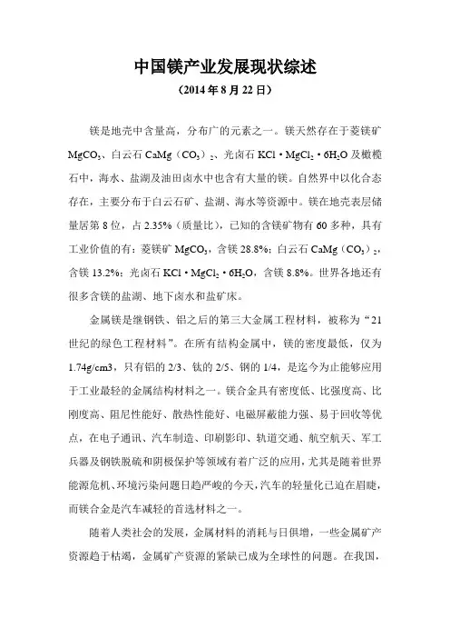 中国镁产业发展现状综述