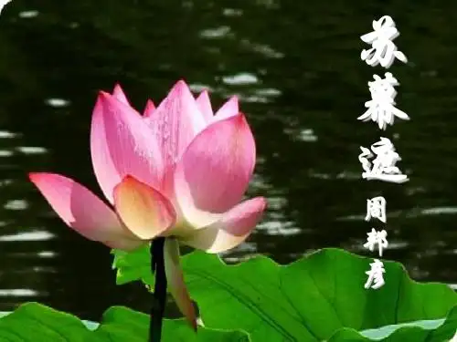《苏幕遮》周邦彦-讲课课件