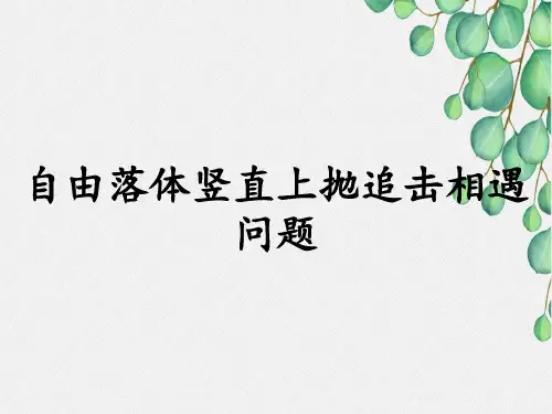 自由落体竖直上抛追击相遇问题