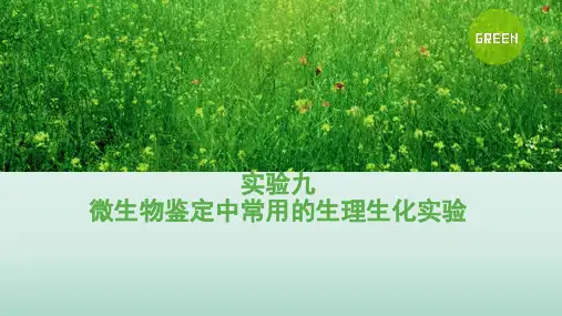 微生物鉴定中常用的生理生化实验