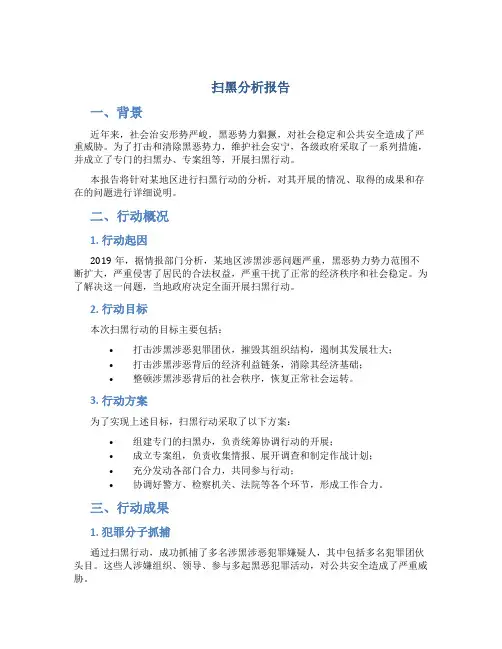 扫黑分析报告
