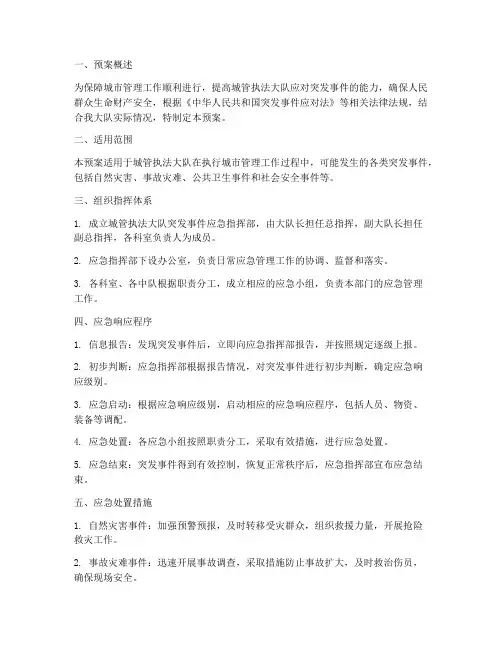 城管执法大队应急预案