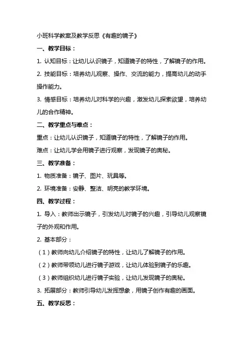 小班科学教案及教学反思《有趣的镜子》