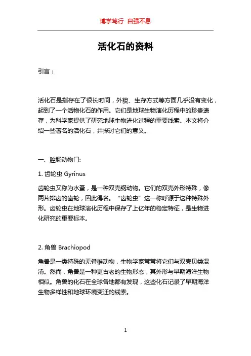 活化石的资料