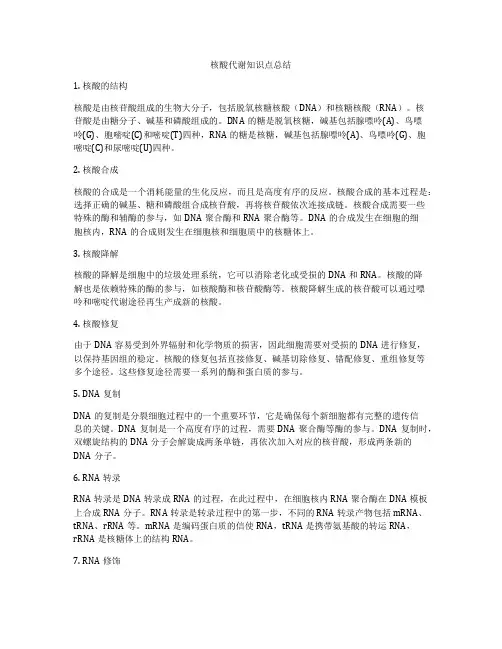 核酸代谢知识点总结