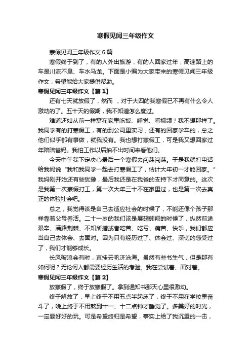 寒假见闻三年级作文