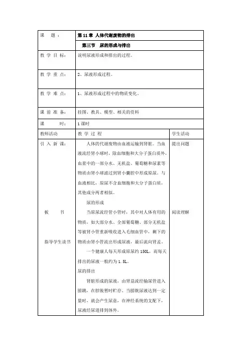 北师大版-生物-七年级下册-尿的形成和排出 教案