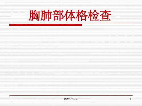 肺部体格检查_视、触、叩诊、听诊1ppt课件