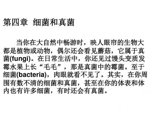 初二生物课件___2013细菌和真菌的分布课件