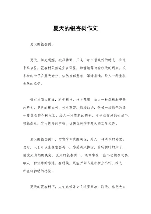 夏天的银杏树作文