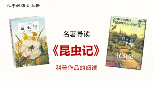 名著导读 《昆虫记》ppt教学课件