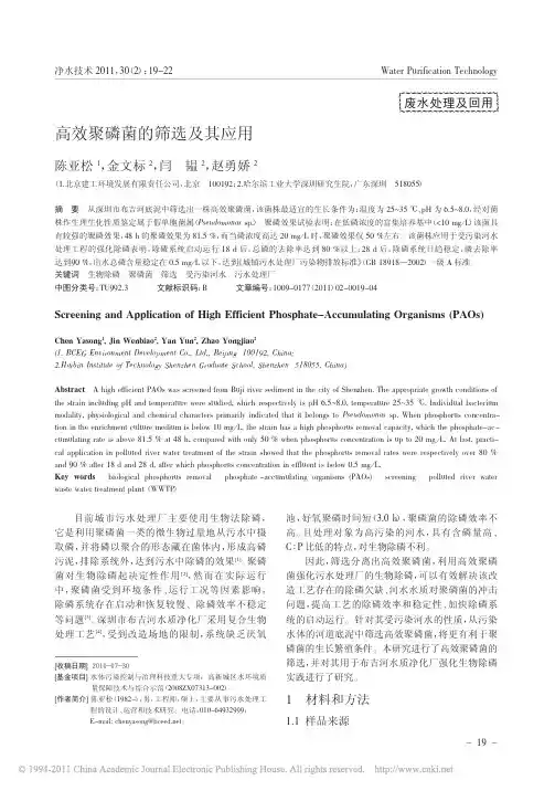 高效聚磷菌的筛选及其应用
