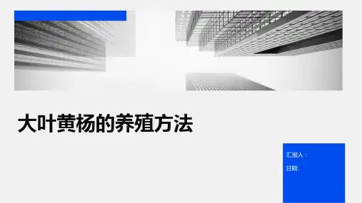 大叶黄杨的养殖方法