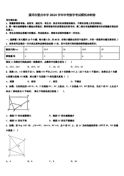 漯河市重点中学2024届中考数学考试模拟冲刺卷含解析