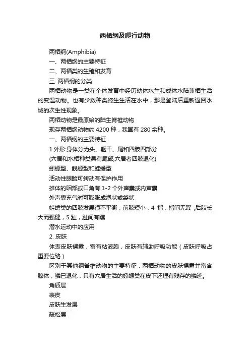 两栖纲及爬行动物