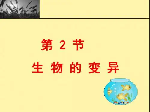 苏科版生物八年级下册5.22.2生物的变异 课件(共23张PPT)