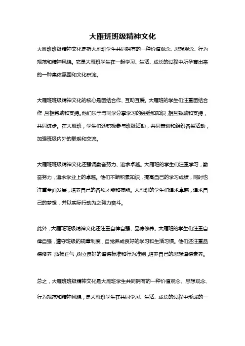 大雁班班级精神文化