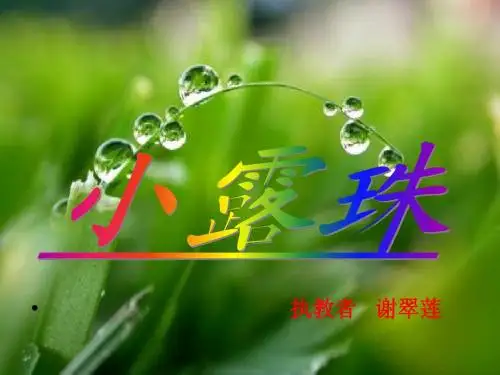 三年级语文小露珠