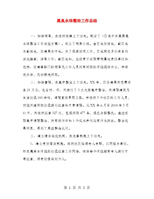 黑臭水体整治工作总结