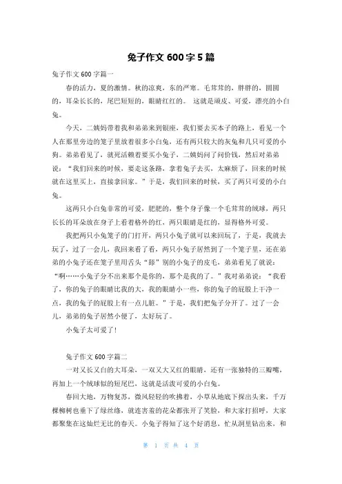兔子作文600字5篇