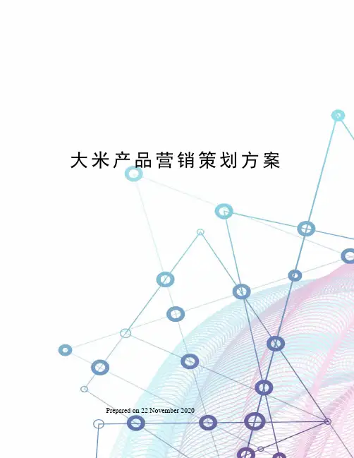 大米产品营销策划方案