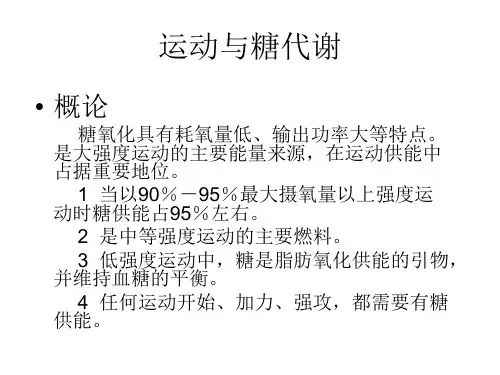 运动与糖代谢
