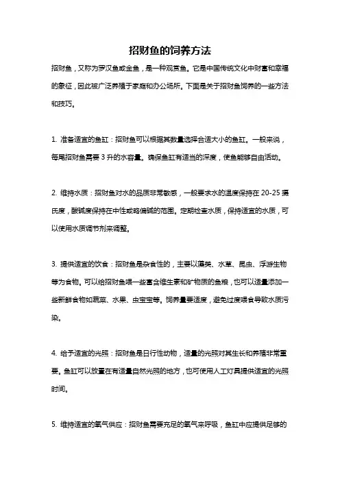 招财鱼的饲养方法