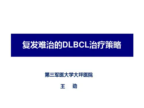 难治复发淋巴瘤治疗讲座2014-3
