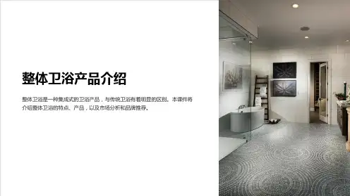 《整体卫浴产品介绍》课件
