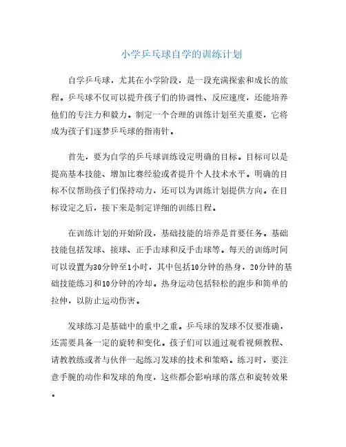 小学乒乓球自学的训练计划