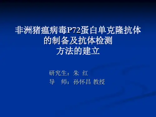 非洲猪瘟病毒P72单克隆抗体的制备及抗体检测方法的建立课件