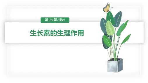 人教版(新教材)高中生物选择性必修1优质课件2：5 1 2 生长素的生理作用