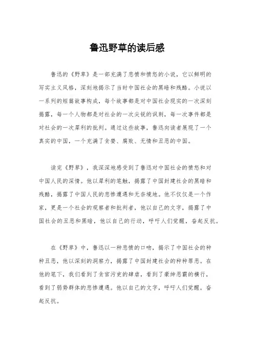 鲁迅野草的读后感