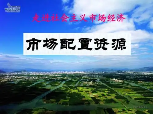 最新版高中政治必修一教学课件教案-10.1市场配置资源 BY 张胜利