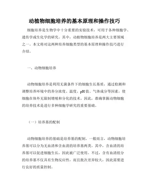 动植物细胞培养的基本原理和操作技巧
