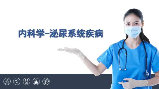 内科学第五篇  泌尿系统疾病  第四章  间质性肾炎