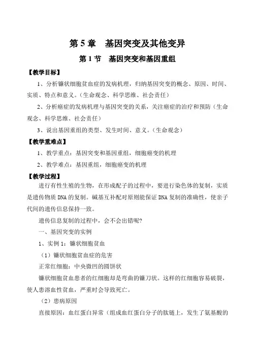 生物人教版高中必修二(2019年新编)5-1 基因突变和基因重组 教案