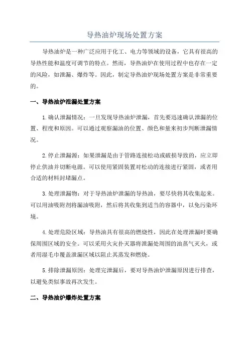 导热油炉现场处置方案