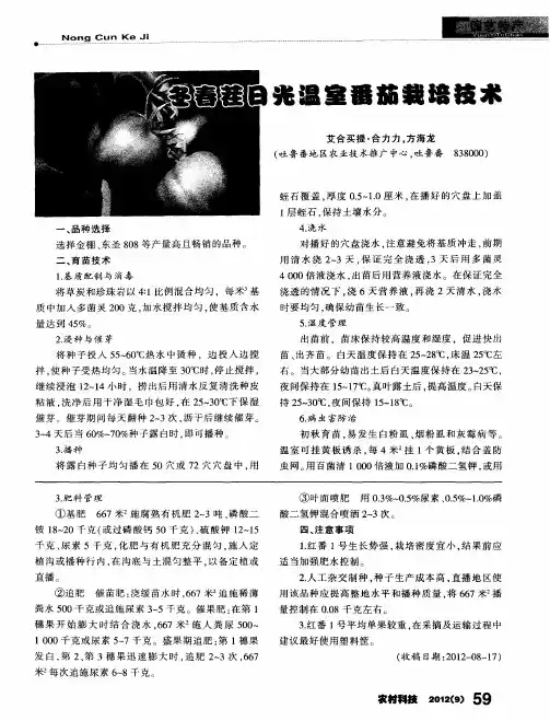 冬春茬日光温室番茄栽培技术