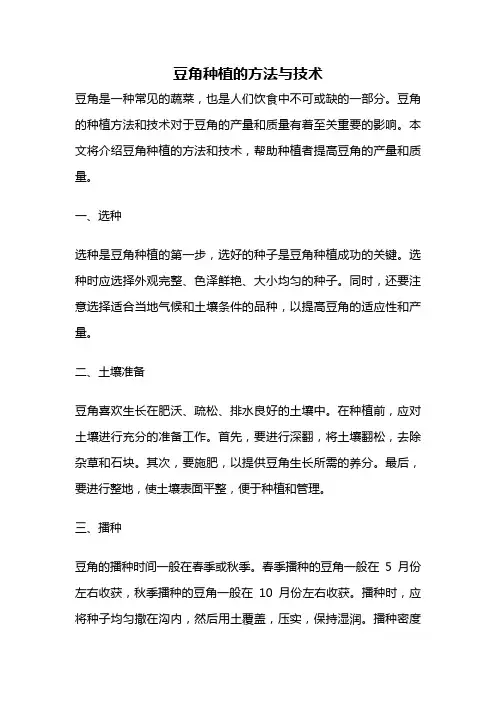 豆角种植的方法与技术