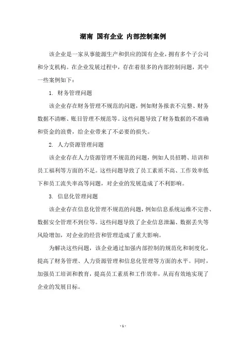 湖南 国有企业 内部控制案例