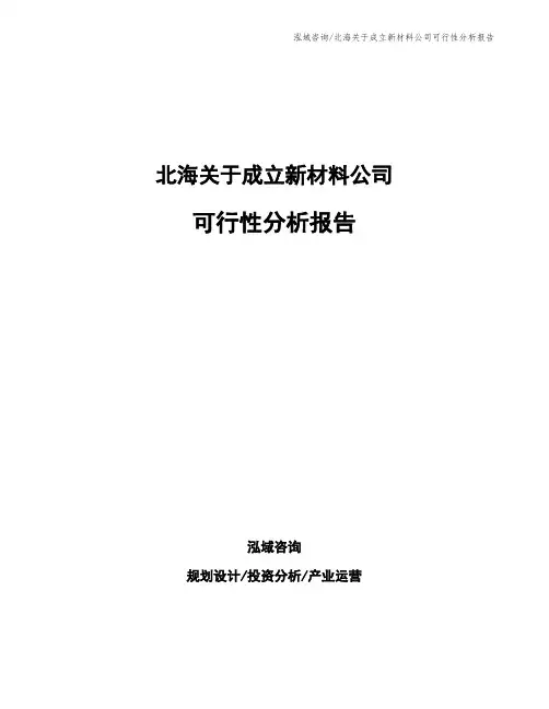 北海关于成立新材料公司可行性分析报告