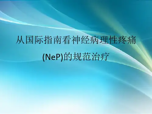 世界神经病理性疼痛指南解读-1