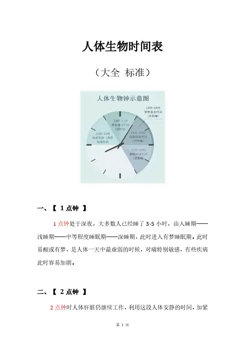 人体生物时间表