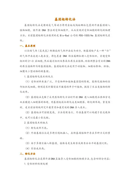基因枪转化法