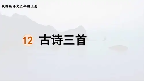 部编版五年级语文上册第四单元第12课《示儿》课件
