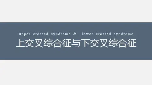 上下交叉综合征的评估与康复