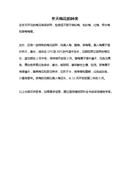 冬天梅花的种类