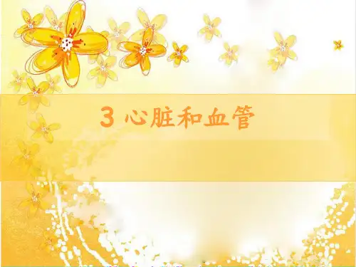 初中七年级下学期生物课件-《心脏和血管的保护》课件2